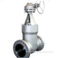 Pressure seal gate valve ASME B16.34